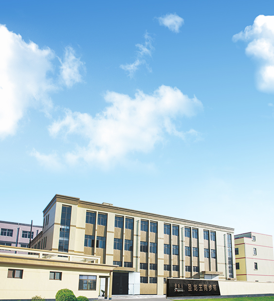 Ningbo Slongwang Synchronous Belt Co,. Ltd.