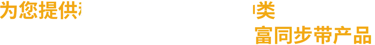 宁波圣龙王同步带有限公司